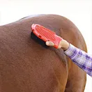 PP Material Scrub Mitt