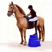 Mounting Block For Horse
