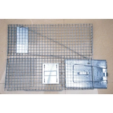 Animal Trapanimal Trap Cagelive Animals Trapcage Rat Trap