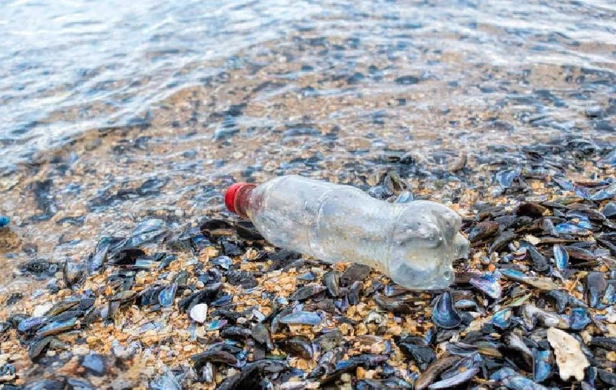 recycled plastic from ocean