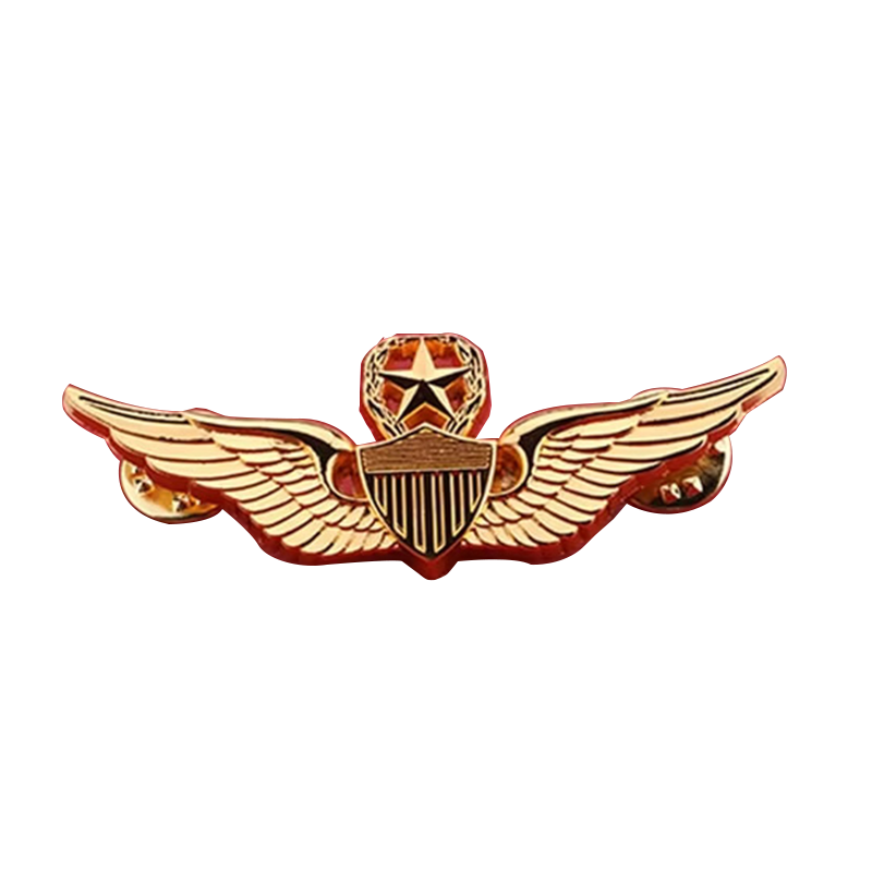 pilot wings badge