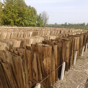 Natural air-drying drying field