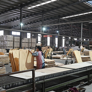 veneer combination
