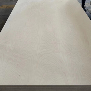 birch ply