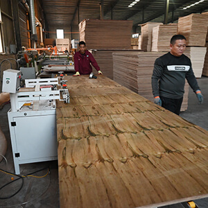 structural pine ply T&G