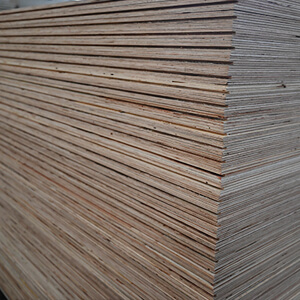 radiata pine plywood-T&G