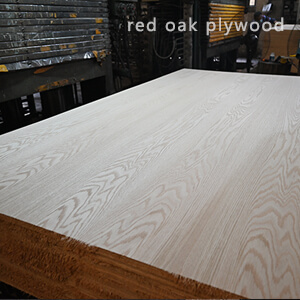 red oak plywood