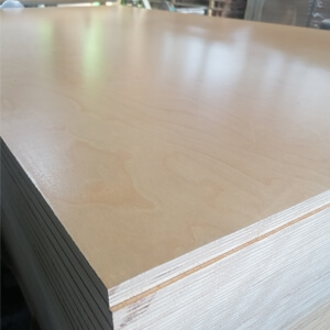 birch plywood uv coated