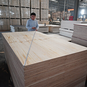 structural ply