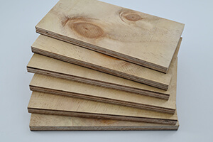 cd sturctural pine ply untreated