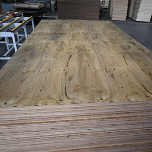 cd structural pine plywood