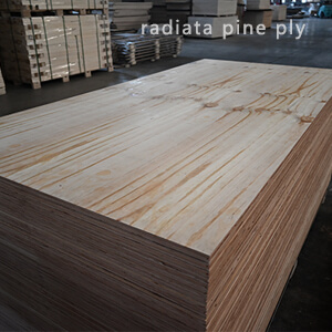 radiata pine plywood