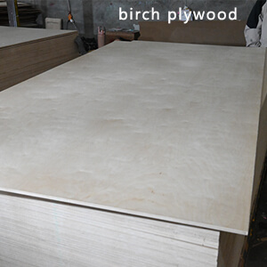 birch plywood