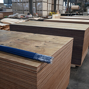 structural pine plywood for wall linings