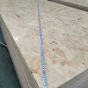 osb 12 mm