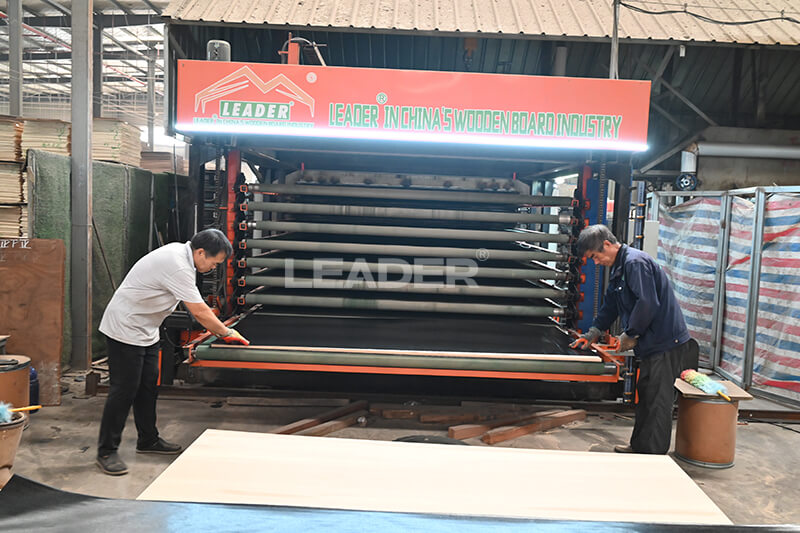 Leaderplywood hot pressing