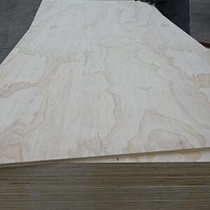 18mm non structural plywood