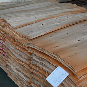 eucalyptus veneer