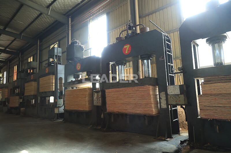 Leaderplywood cold pressing