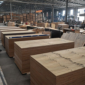 structural pine plywood factory