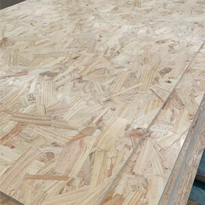 osb ply