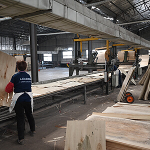 cd plywood factory