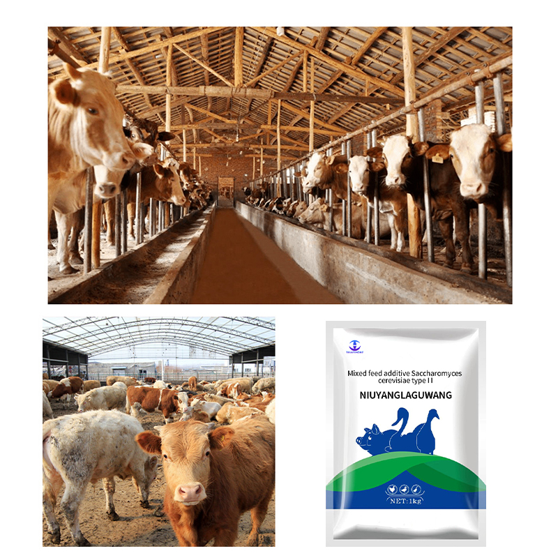 Weight Gain Additive Appetite Enhancer Ruminant Growth Booster