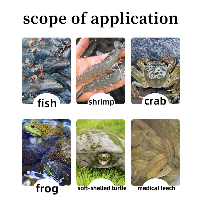 Attracting food growth and promoting aquaculture efficiency!