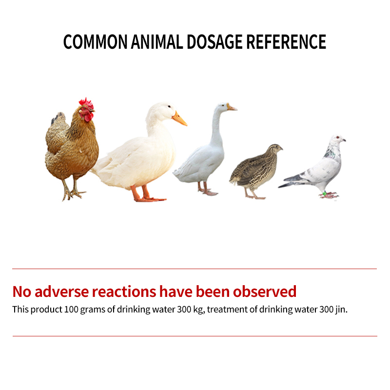 Fever Reducer Herbal Antiviral Mixed feed additives premix chicken feed poultry feed additives feed grade amino acid additives vitamin enriched feed