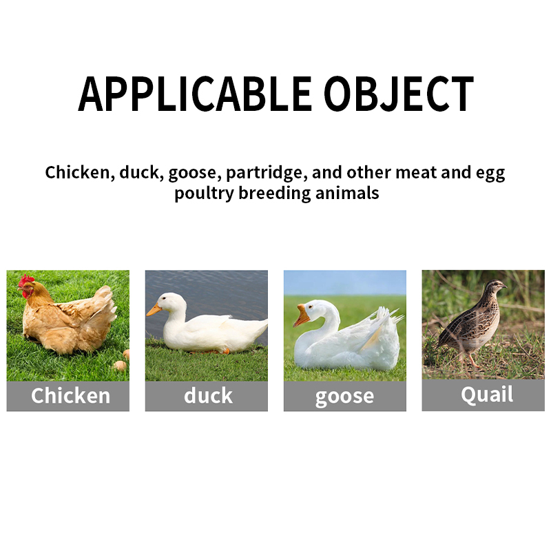poultry antiviral