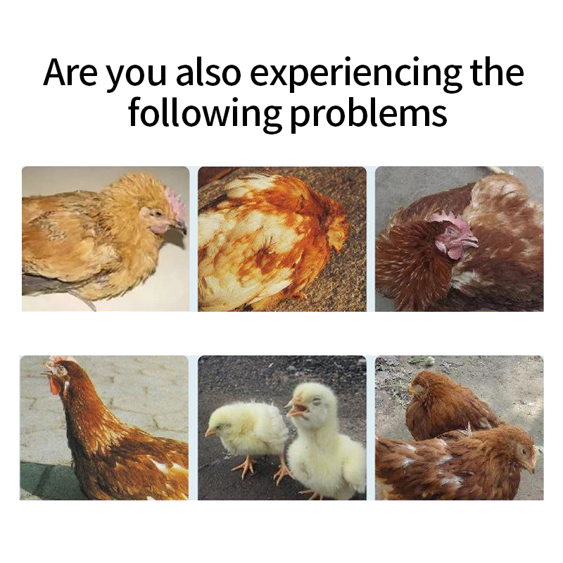 Cold Relief Antiviral Fever Relief chicken feed additives chicken medicine poultry treatment animal feed grade additives amino acid poultry treatment vitamin chicken feed feed additives for chickens