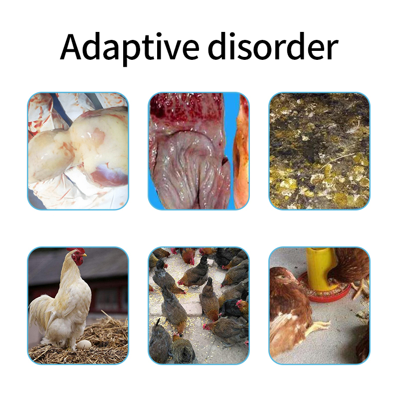 Feed Additives feed additives for chickens feed grade amino acid additives amino acid feed additives vitamin feed additives animal feed grade additives Lean Meat Booster