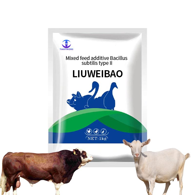 Intestinal probiotics Rumen health Feed additive for ruminants