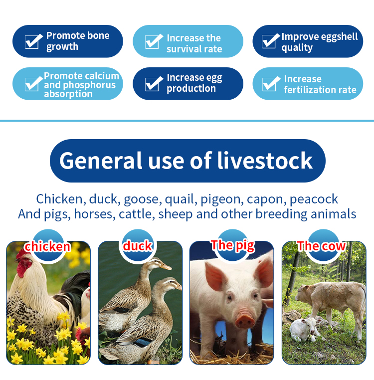 Boosting Livestock Health and Production Efficiency