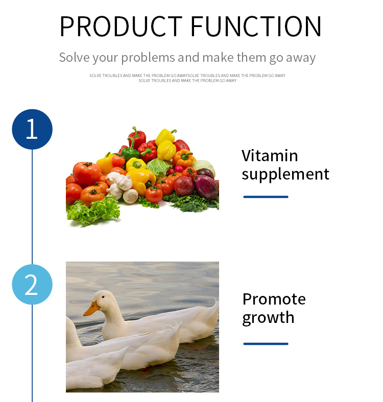 Boosting Livestock Health and Production Efficiency