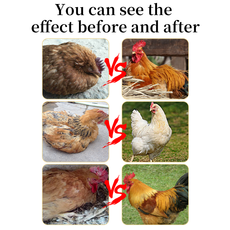 feed additives,Gut Health ,Feed Efficiency