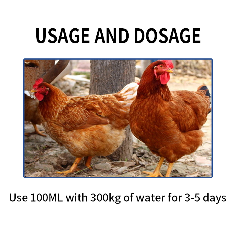 poultry antiviral