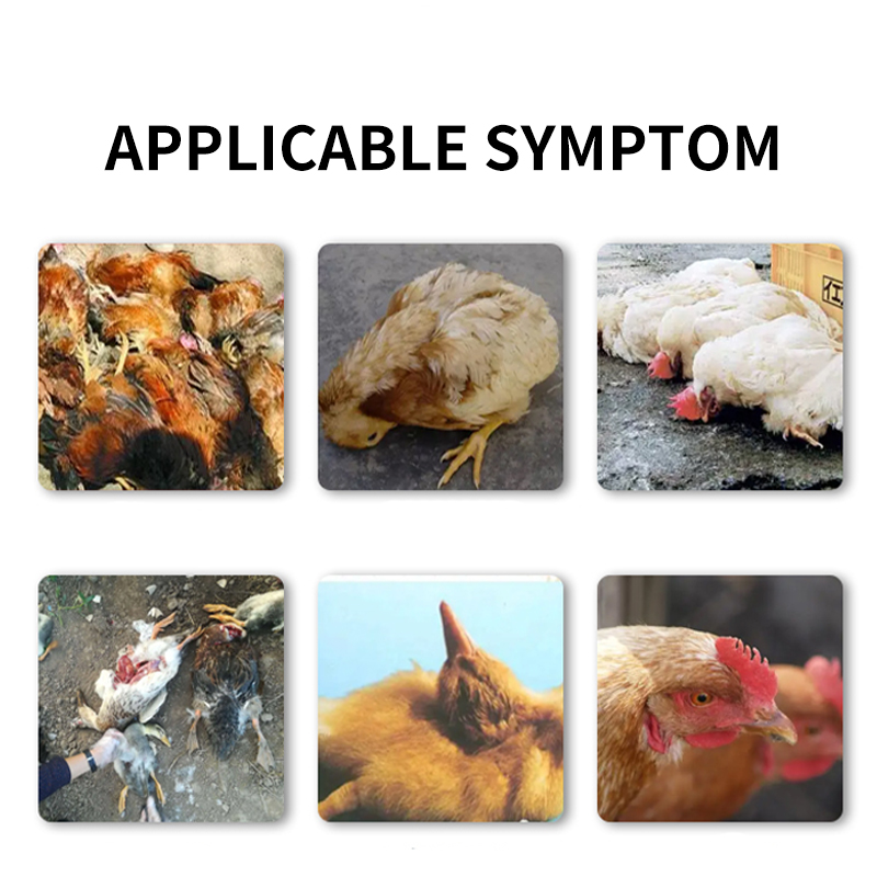 Antiviral Chinese Medicine.Improve Immunity