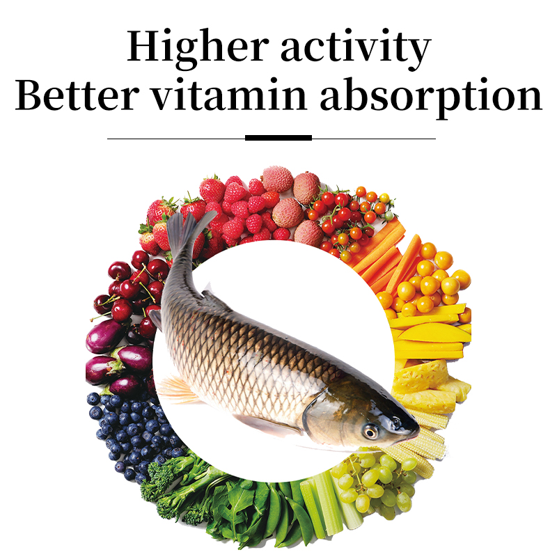 Aquatic Additives Aquatic Probiotics Enhanced growth formula aquafeed Fish & Shrimp Growth Promoter Sustainable aquaculture feed Aquaculture Feed Nutrient Enhancer Fish Growth Promoter Multivitamin Aguatic Stress Relief Multivitamin