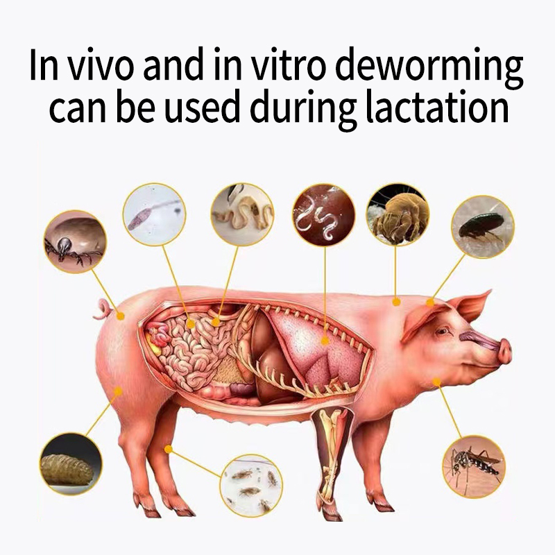 Multi-Worm Solution Poultry & Livestock Use One-Dose Deworming Livestock Deworming Additive Drive away nematodes and roundworms feed grade enzyme additive amino acid feed additive