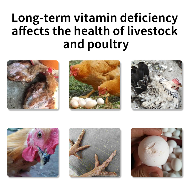 Quick Supplement 21