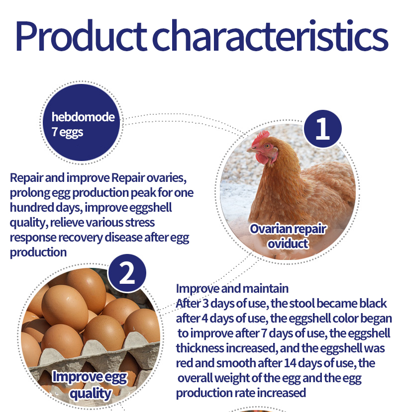 Layer Additive Egg Booster chicken layer feed Peak Production amino acid feed additives growth promoting feed additives