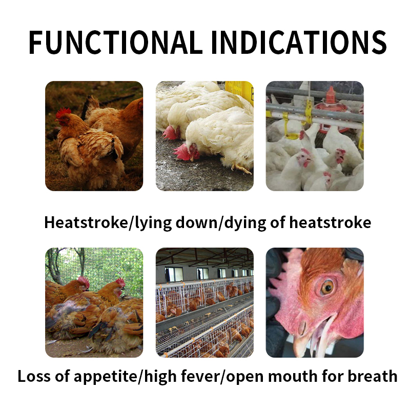 Huo Xiang Liquid Heat Stress Relief Diarrhea Relief Oral liquid appetite enhancer Enhance appetite supplement Detoxification Support Traditional Chinese Formul Livestock & Poultry Use