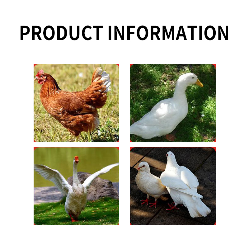 poultry feed additives layer feed addit feed and addit feed grade amino acid additives animal feed grade additives