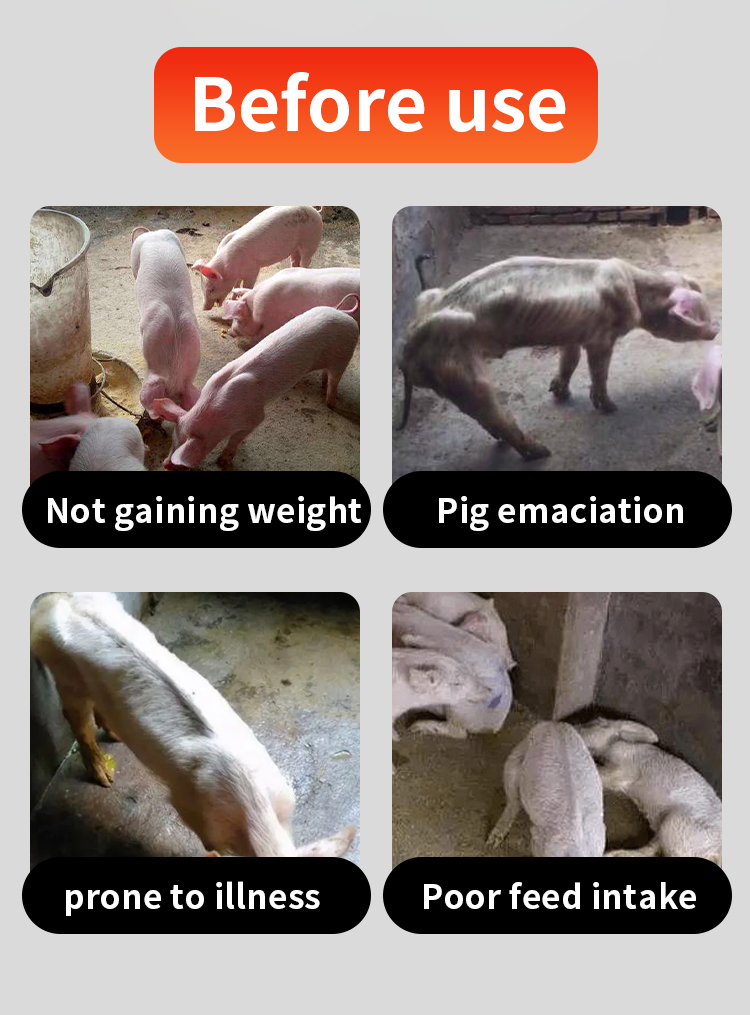 pig feed additive for weight gain