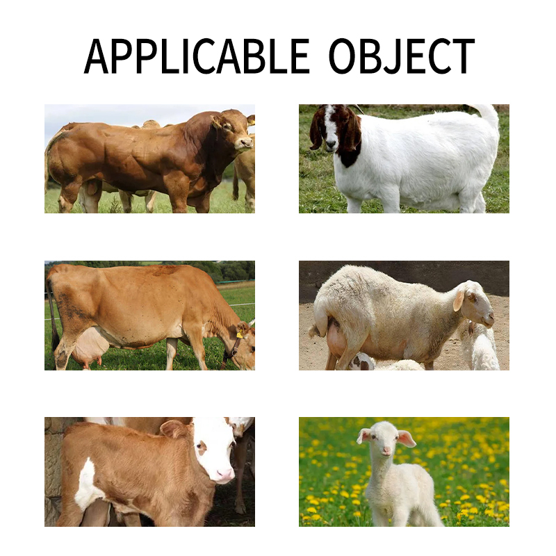 Weight Gain Additive Appetite Enhancer Ruminant Growth Booster