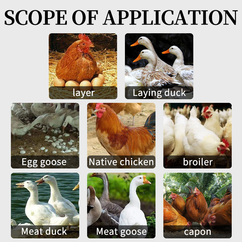 Gut Health Feed Efficiency Antibiotic Alternative poultry probiotics feed additive poultry weight gain feed additive Factory price poultry probiotics Regulating intestines feed additive Promote obesity feed additive Yufangtang feed grade probiotics