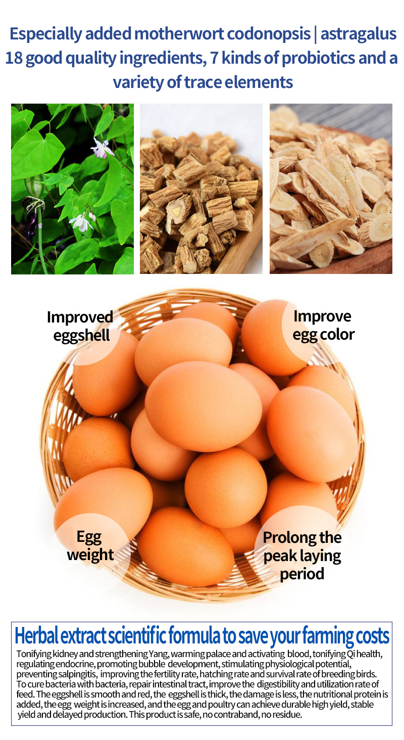 Layer Additive Egg Booster chicken layer feed Peak Production amino acid feed additives growth promoting feed additives