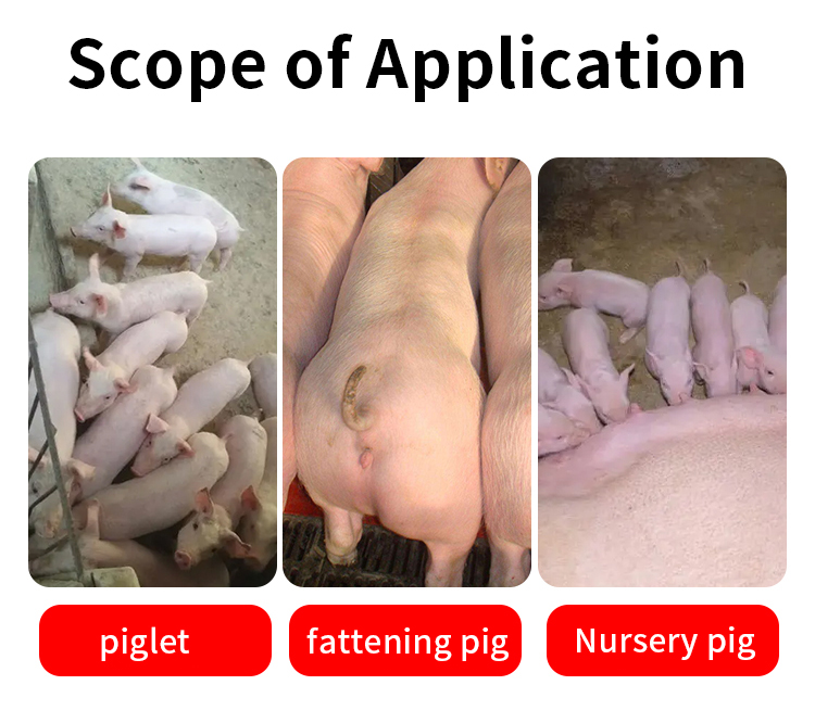 pig feed additive for weight gain