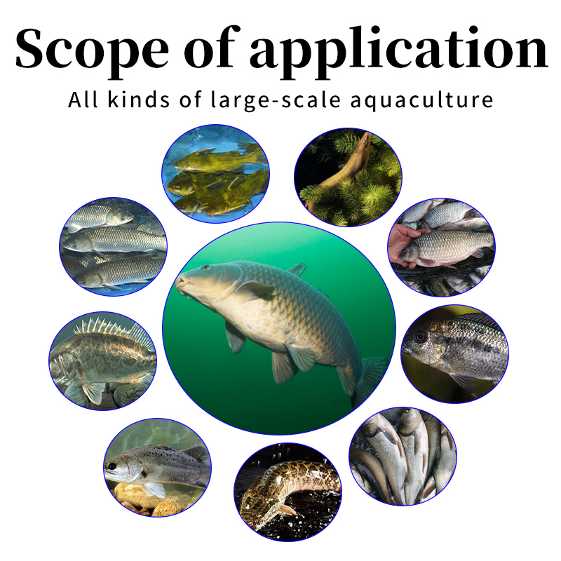 tilapia fish feed additive、Fish Growth Promote、Fish Immune Booster